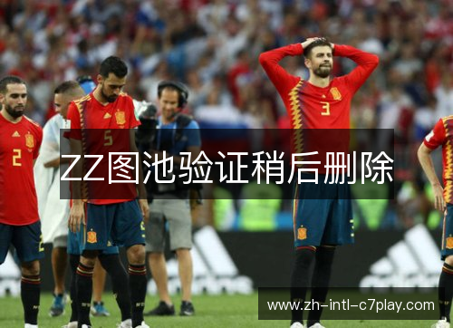 ZZ图池验证稍后删除
